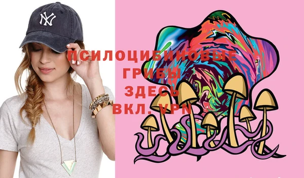 МДПВ Алзамай